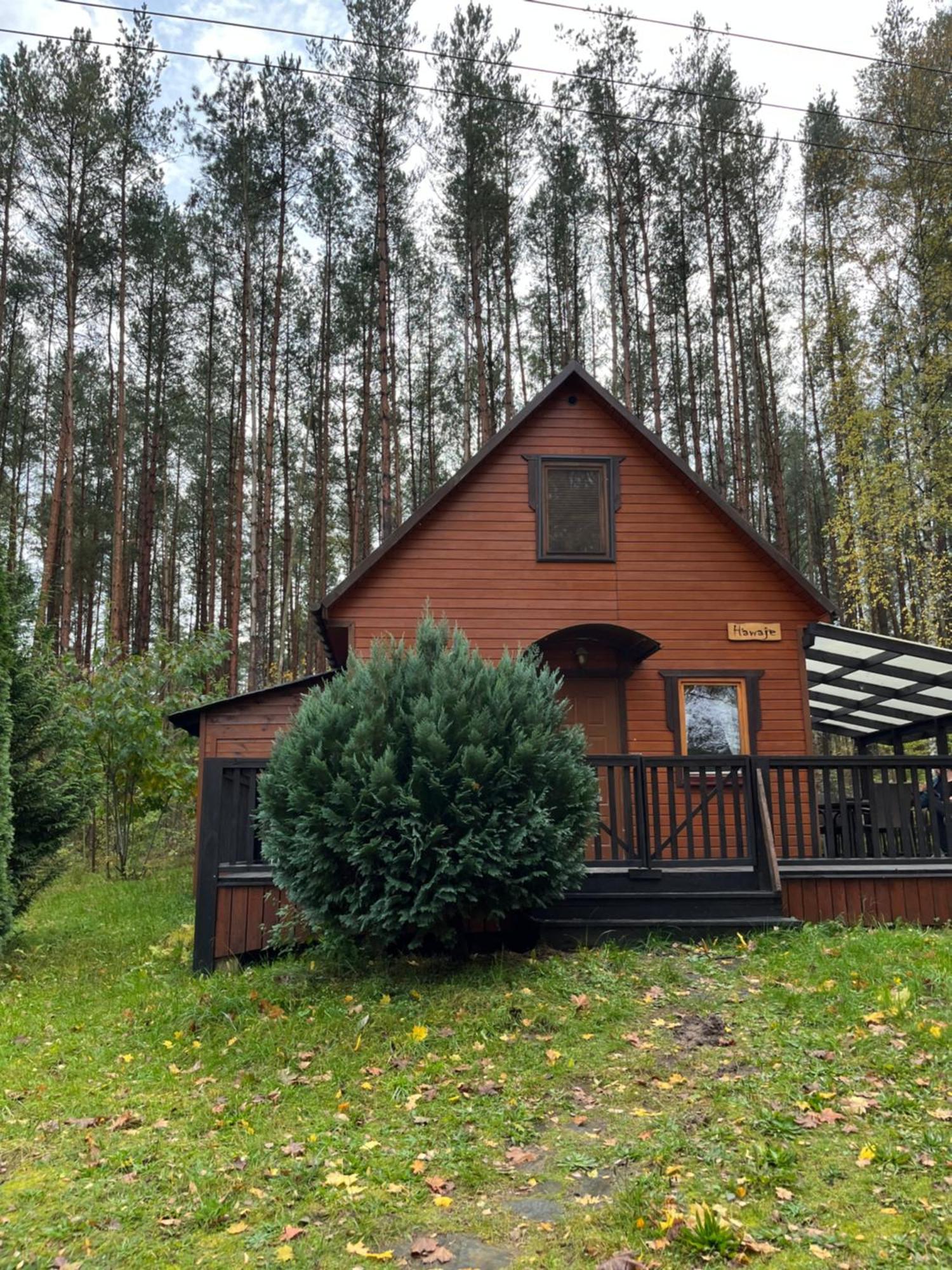Domek Caloroczny Hawaje Nad Jeziorem Kazub Cieciorka Bagian luar foto